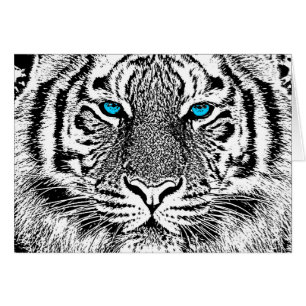 Black And White Blue Eyes wild Tiger face
