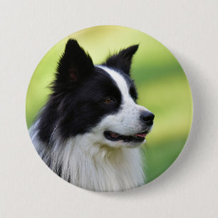 Black and White Border Collie Dog 7.5 Cm Round Badge