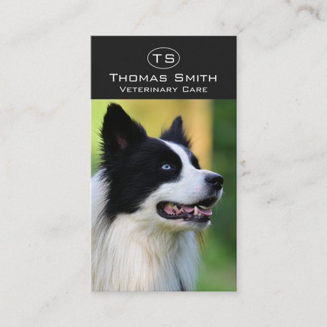 Black and White Border Collie Dog Business Card (Front)