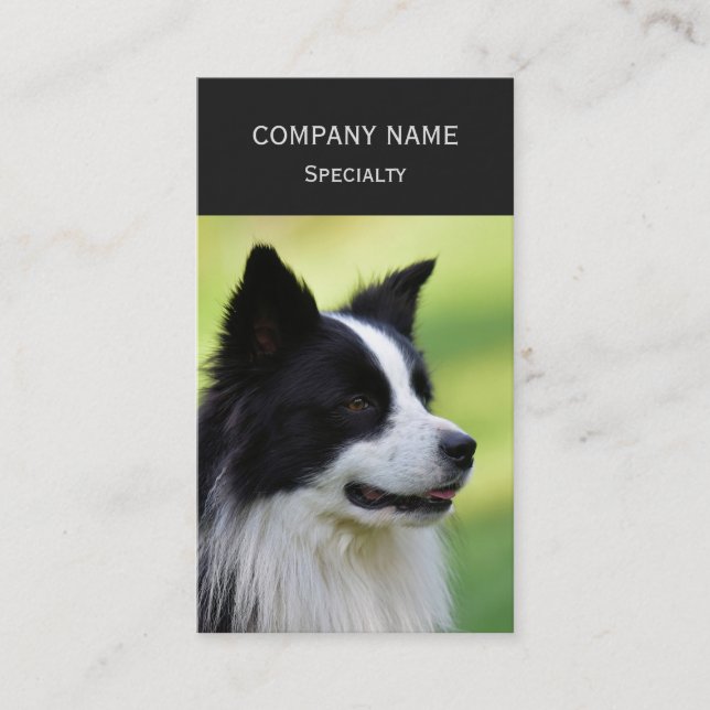 Black and White Border Collie Dog Business Card (Front)