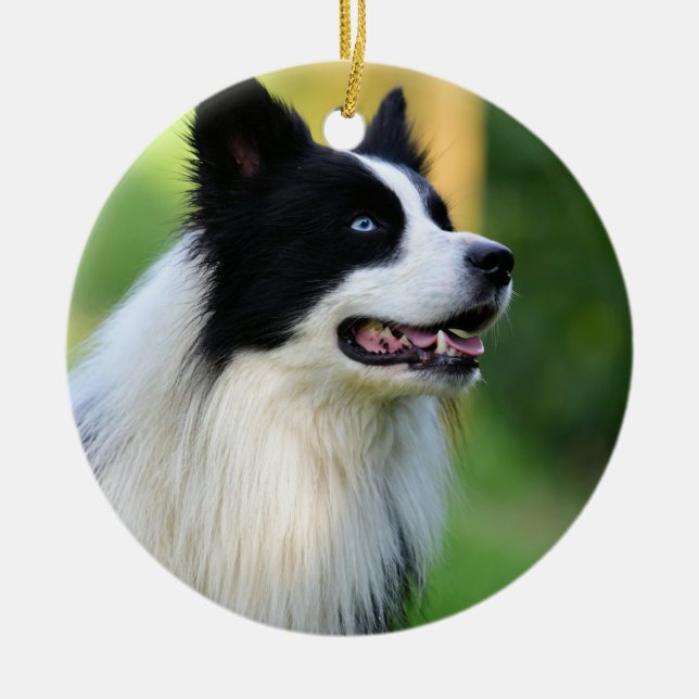 Black and White Border Collie Dog Ceramic Tree Decoration (Front)