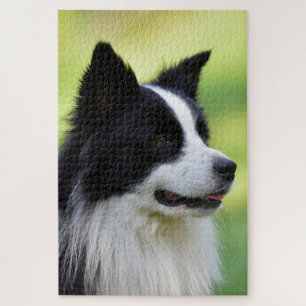 Black and White Border Collie Dog Jigsaw Puzzle