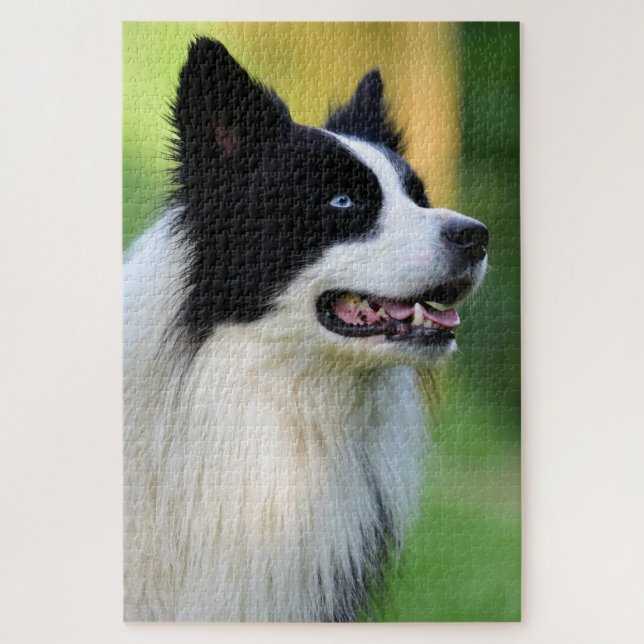 Black and White Border Collie Dog Jigsaw Puzzle (Vertical)