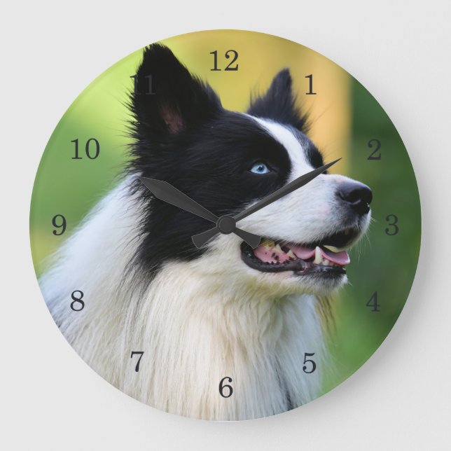 Black and White Border Collie Dog Large Clock (Front)