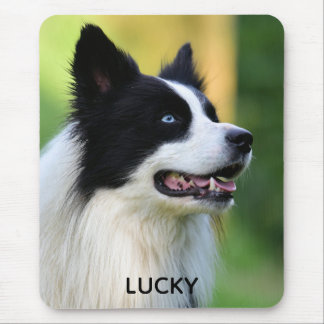 Black and White Border Collie Dog Mouse Mat