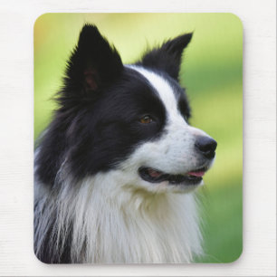 Black and White Border Collie Dog Mouse Mat