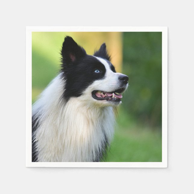 Black and White Border Collie Dog Napkin (Front)