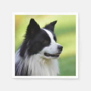 Black and White Border Collie Dog Napkin
