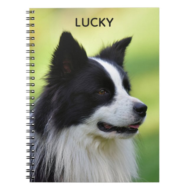 Black and White Border Collie Dog Notebook (Front)