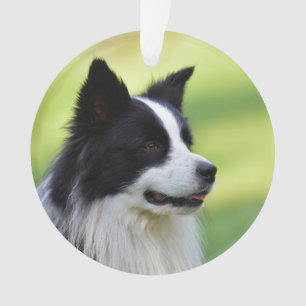 Black and White Border Collie Dog Ornament