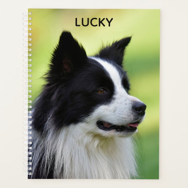 Black and White Border Collie Dog Planner (Front)
