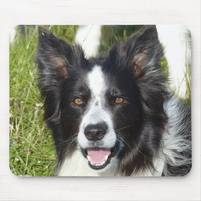 Black and White Border Collie Mouse Mat (Front)