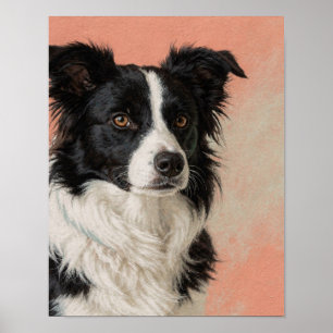 Black and White Border Collie Portrait in Coral an Poster