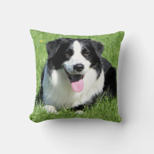 Black and White Border Collie Puppy Dog Cushion