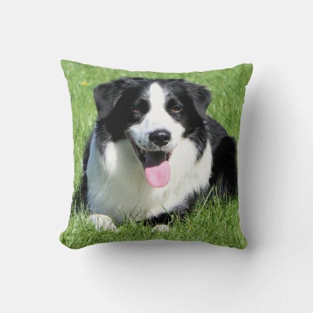 Black and White Border Collie Puppy Dog Cushion (Front)