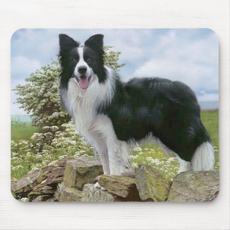 Border Collie Mouse Pad 