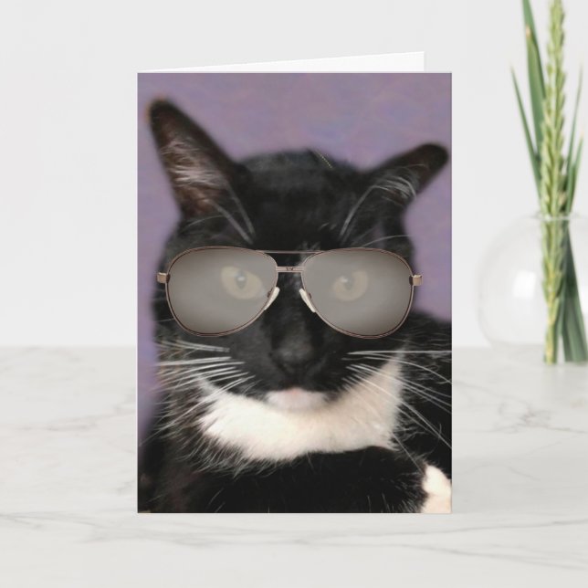 Black And White Bossy Cat Birthday Card (Front)