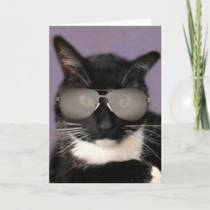 Black And White Bossy Cat Birthday Card