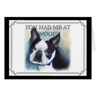 BLACK AND WHITE BOSTON TERRIER