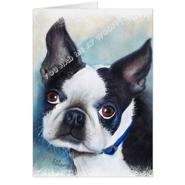 BLACK AND WHITE BOSTON TERRIER (Front)