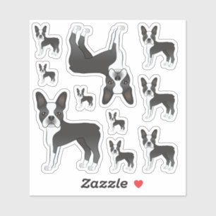 Black And White Boston Terrier Dog Illustrations