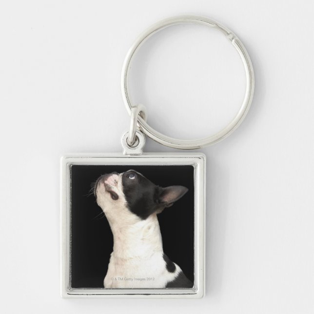 Black and white Boston Terrier looking up Key Ring (Front)