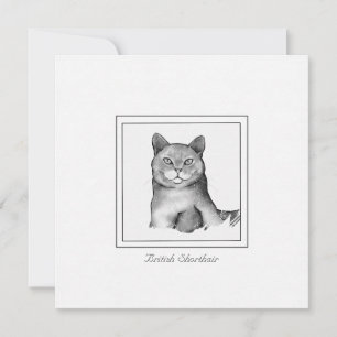 Black and White British Shorthair Cat Drawing Card