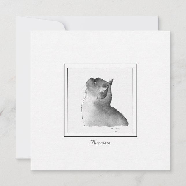 Black and White Burmese Cat Note Card (Front)