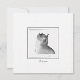 Black and White Burmese Cat Note Card
