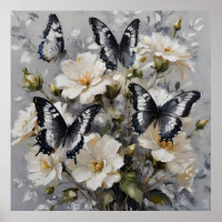 Black And White Butterflies On White Flowers,