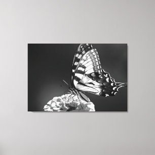 Black and White Butterfly Canvas Print