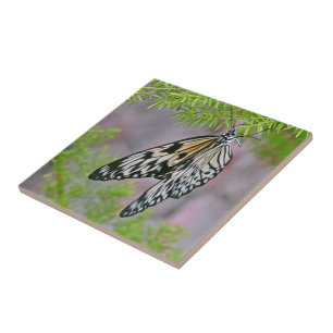 "BLACK AND WHITE BUTTERFLY" CERAMIC TILE/TRIVET TILE