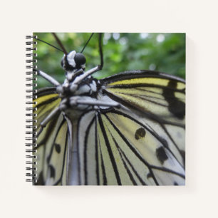 Black and White Butterfly Close Up Notebook