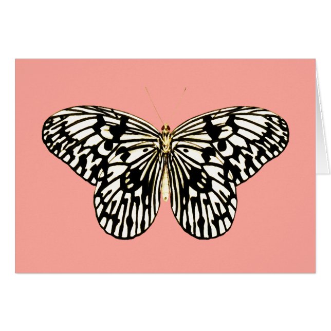 Black and white butterfly,coral pink background (Front Horizontal)