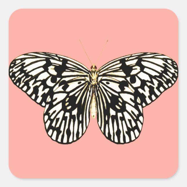 Black and white butterfly,coral pink background square sticker (Front)