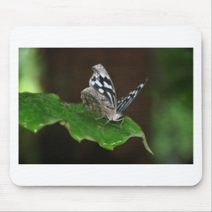 Black and White Butterfly Mouse Mat
