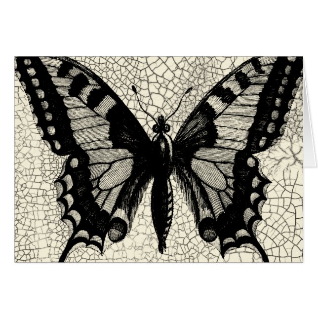 Black and White Butterfly on Cracked Background (Front Horizontal)