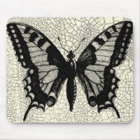 Black and White Butterfly on Cracked Background