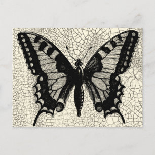 Black and White Butterfly on Cracked Background Postcard