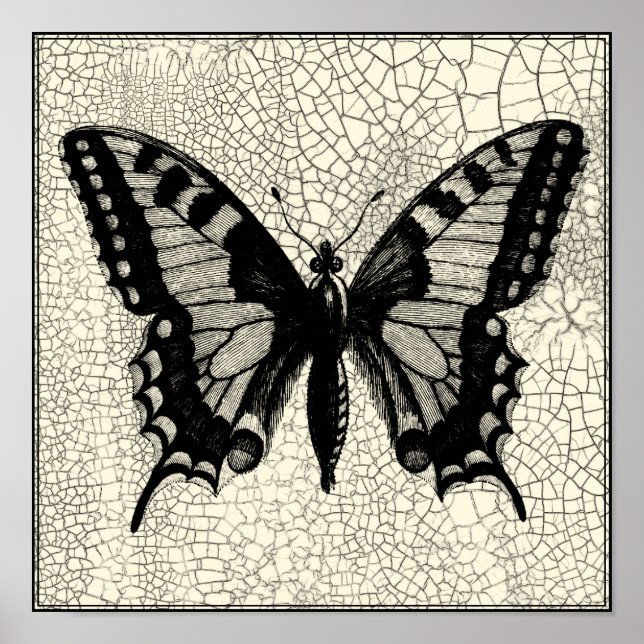 Black and White Butterfly on Cracked Background Poster (Front)
