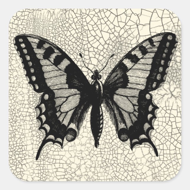 Black and White Butterfly on Cracked Background Square Sticker (Front)