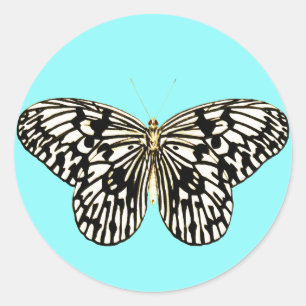 Black and white butterfly, turquoise background classic round sticker