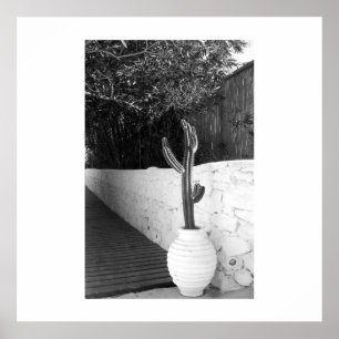 Black and white cactus poster art summer photo