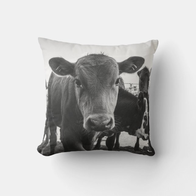 Black and White Calf Pillow (Front)