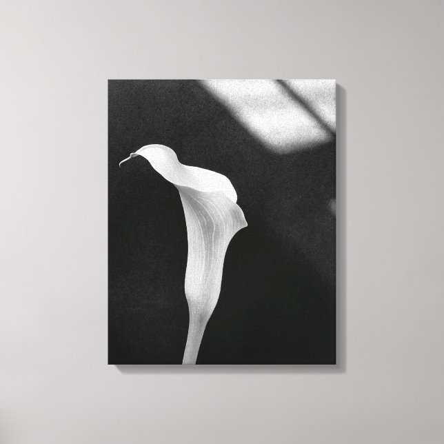 Black and White Calla Lily Canvas Print (Front)