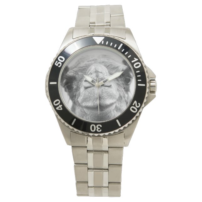 Black and White Camel Kisses Mens Photo Wristwatch (Front)