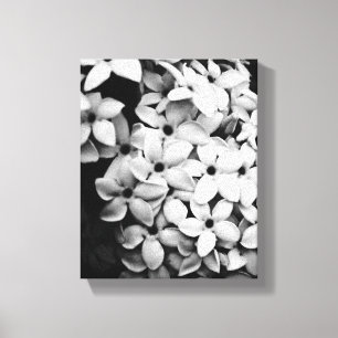 Black and white canvas print