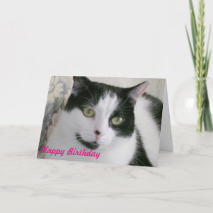 Black and White Cat Birthday Card