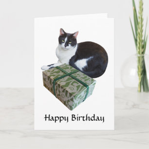 Black and White Cat Birthday Card