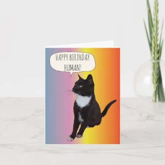 Black and white cat birthday card personalise | Zazzle